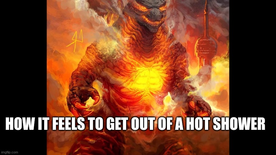 Burning Godzilla | HOW IT FEELS TO GET OUT OF A HOT SHOWER | image tagged in burning godzilla | made w/ Imgflip meme maker