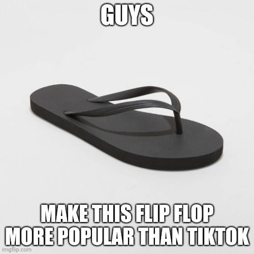 Famous flip flop | GUYS; MAKE THIS FLIP FLOP MORE POPULAR THAN TIKTOK | image tagged in tiktok sucks | made w/ Imgflip meme maker