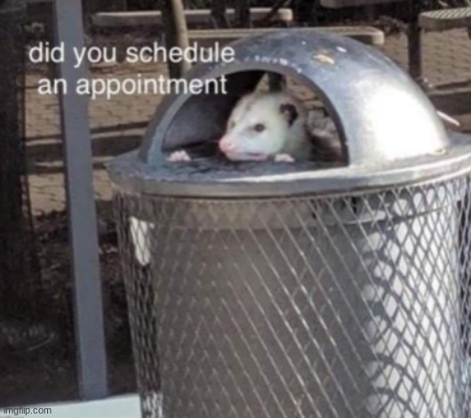 Did you schedule an appointment | image tagged in did you schedule an appointment | made w/ Imgflip meme maker