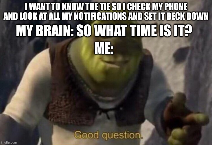 lol | MY BRAIN: SO WHAT TIME IS IT? I WANT TO KNOW THE TIE SO I CHECK MY PHONE AND LOOK AT ALL MY NOTIFICATIONS AND SET IT BECK DOWN; ME: | image tagged in shrek good question | made w/ Imgflip meme maker