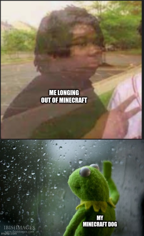 ME LONGING OUT OF MINECRAFT; MY MINECRAFT DOG | image tagged in kermit window | made w/ Imgflip meme maker
