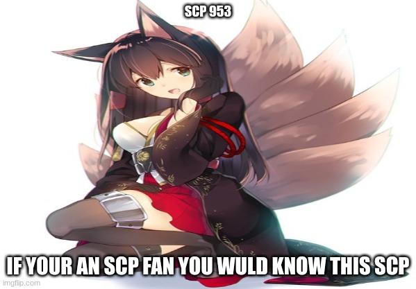 scp 953 keter class | SCP 953; IF YOUR AN SCP FAN YOU WULD KNOW THIS SCP | image tagged in scp | made w/ Imgflip meme maker