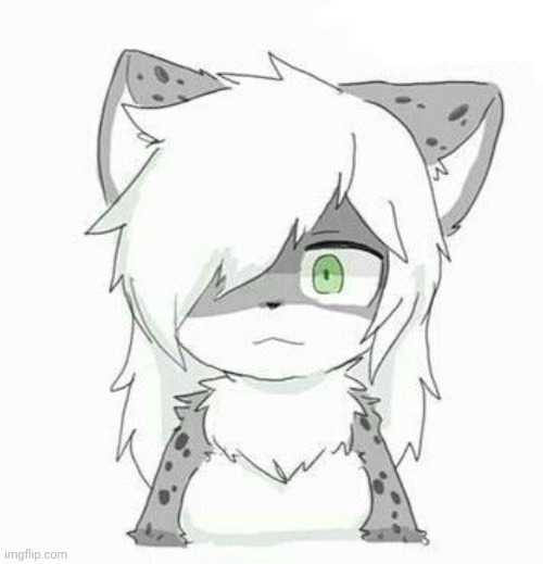 Snow Leopard from Changed (art's not mine) | image tagged in furry,changed | made w/ Imgflip meme maker