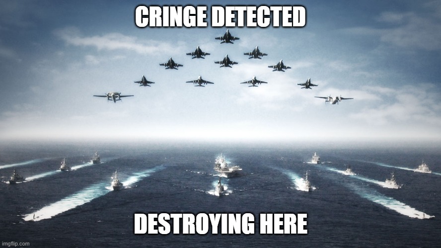 US Navy | CRINGE DETECTED DESTROYING HERE | image tagged in us navy | made w/ Imgflip meme maker
