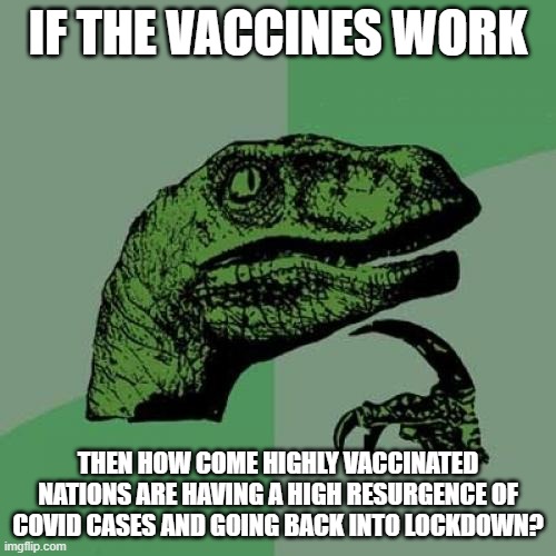Do the vaccines work? Really? | IF THE VACCINES WORK; THEN HOW COME HIGHLY VACCINATED NATIONS ARE HAVING A HIGH RESURGENCE OF COVID CASES AND GOING BACK INTO LOCKDOWN? | image tagged in philosaraptor,vaccines,big pharma,lies | made w/ Imgflip meme maker