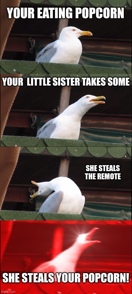 Popcorn | YOUR EATING POPCORN; YOUR  LITTLE SISTER TAKES SOME; SHE STEALS THE REMOTE; SHE STEALS YOUR POPCORN! | image tagged in memes,inhaling seagull | made w/ Imgflip meme maker