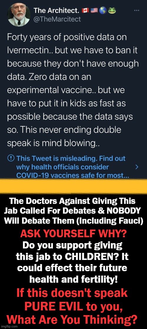 Ignorance Can Be Fixed; Stupidity Is Forever | The Doctors Against Giving This 
Jab Called For Debates & NOBODY 
Will Debate Them (Including Fauci); ASK YOURSELF WHY? Do you support giving 
this jab to CHILDREN? It 
could effect their future 
health and fertility! If this doesn't speak 
PURE EVIL to you,
What Are You Thinking? | image tagged in politics,covid jab,medical tyranny,ignorance,good vs evil,political meme | made w/ Imgflip meme maker