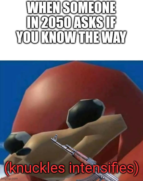 Please don't downvote or be mean just because it's a dead meme. | WHEN SOMEONE IN 2050 ASKS IF YOU KNOW THE WAY; (knuckles intensifies) | image tagged in ugandan knuckles | made w/ Imgflip meme maker