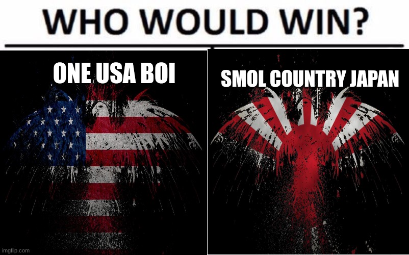 ww2 meme | ONE USA BOI; SMOL COUNTRY JAPAN | image tagged in history memes | made w/ Imgflip meme maker