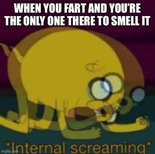 Jake The Dog Internal Screaming | WHEN YOU FART AND YOU’RE THE ONLY ONE THERE TO SMELL IT | image tagged in jake the dog internal screaming | made w/ Imgflip meme maker