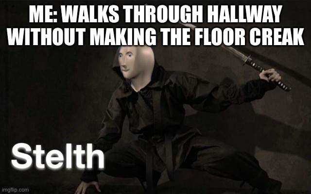Stelth | ME: WALKS THROUGH HALLWAY WITHOUT MAKING THE FLOOR CREAK | image tagged in stelth | made w/ Imgflip meme maker