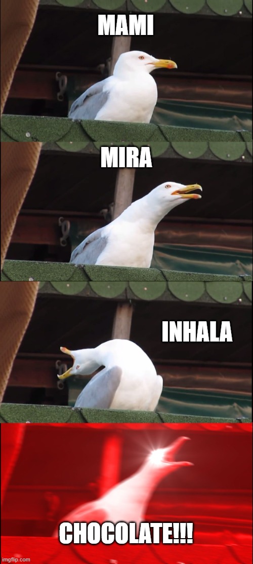 Inhaling Seagull | MAMI; MIRA; INHALA; CHOCOLATE!!! | image tagged in memes,inhaling seagull | made w/ Imgflip meme maker