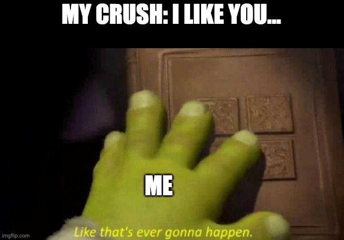 ? | MY CRUSH: I LIKE YOU... ME | image tagged in like that's ever gonna happen | made w/ Imgflip meme maker