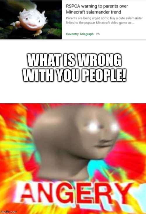 stuiped people |  WHAT IS WRONG WITH YOU PEOPLE! | image tagged in dumb,stupid people,dumbass,for dummies | made w/ Imgflip meme maker