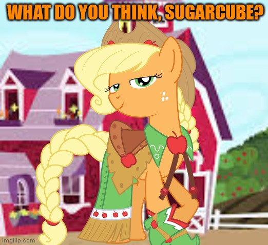 Cowgirl AJ | WHAT DO YOU THINK, SUGARCUBE? | image tagged in cowgirl,applejack,my little pony,wait thats illegal,cute animals | made w/ Imgflip meme maker