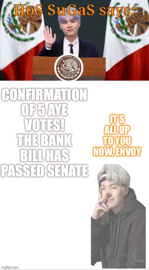 Whatever the result, I still will respect your decision | CONFIRMATION OF 5 AYE VOTES! THE BANK BILL HAS PASSED SENATE; IT’S ALL UP TO YOU NOW, ENVOY | image tagged in sugas hos temp | made w/ Imgflip meme maker