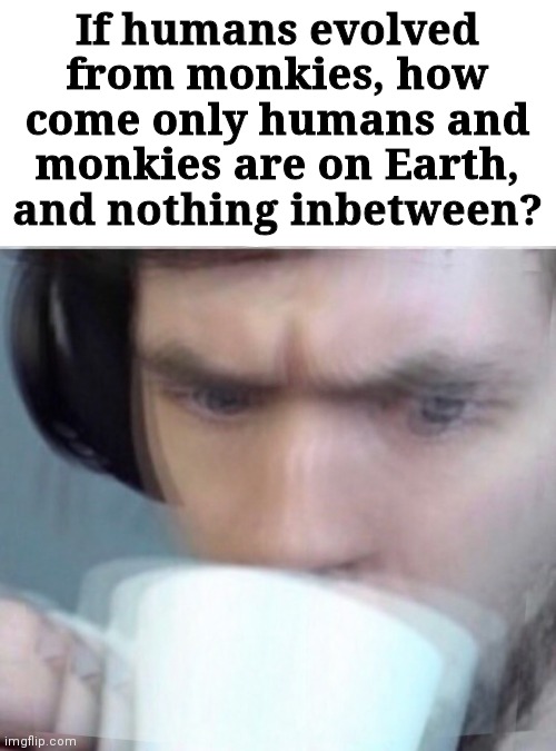 Concerned Sean Intensifies | If humans evolved from monkies, how come only humans and monkies are on Earth, and nothing inbetween? | image tagged in concerned sean intensifies | made w/ Imgflip meme maker