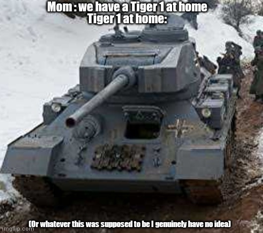 Authentic picture of a Tiger 1 | Source : bro trust me | Mom : we have a Tiger 1 at home; Tiger 1 at home:; (Or whatever this was supposed to be I genuinely have no idea) | image tagged in mom can we have,tiger,tank,at home,idk | made w/ Imgflip meme maker
