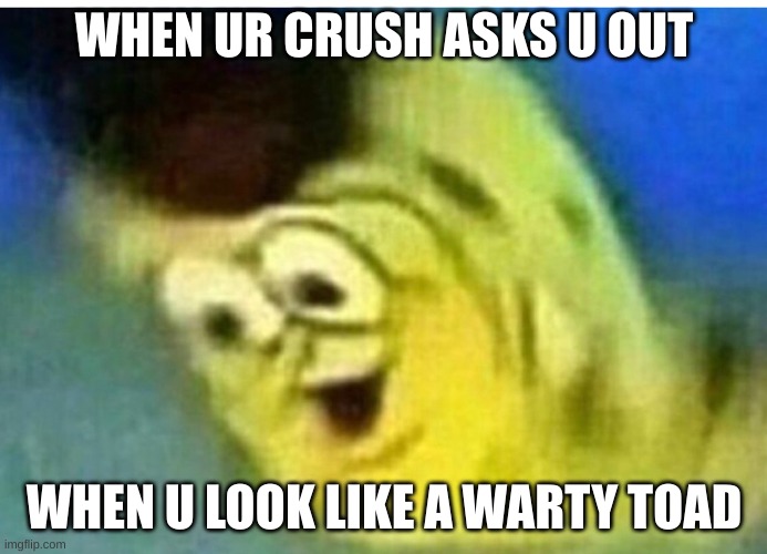 Bruh moment spongebob | WHEN UR CRUSH ASKS U OUT; WHEN U LOOK LIKE A WARTY TOAD | image tagged in bruh moment spongebob | made w/ Imgflip meme maker