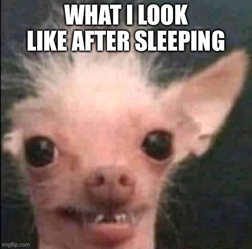 hola | WHAT I LOOK LIKE AFTER SLEEPING | image tagged in hola | made w/ Imgflip meme maker