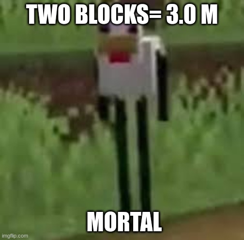 TWO BLOCKS= 3.0 M MORTAL | made w/ Imgflip meme maker