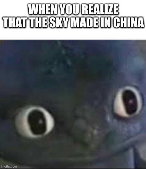 toothless will never fly the same again... | WHEN YOU REALIZE THAT THE SKY MADE IN CHINA | image tagged in unsettled toothless | made w/ Imgflip meme maker