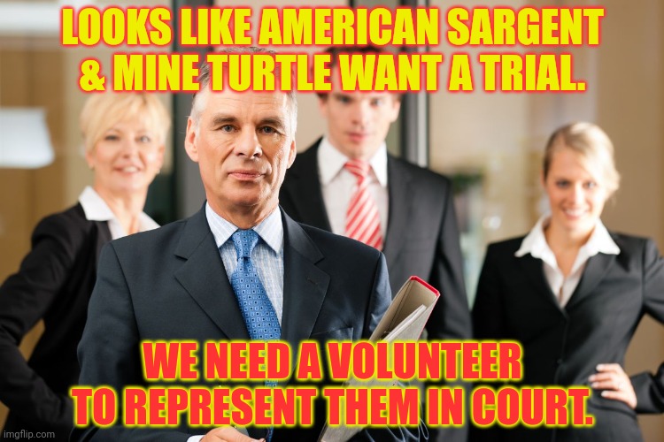 Who here likes the law? | LOOKS LIKE AMERICAN SARGENT & MINE TURTLE WANT A TRIAL. WE NEED A VOLUNTEER TO REPRESENT THEM IN COURT. | image tagged in lawyers,trial,defense attorney | made w/ Imgflip meme maker