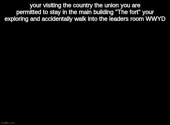 WWYD | your visiting the country the union you are permitted to stay in the main building "The fort" your exploring and accidentally walk into the leader's room WWYD | image tagged in blank black,roleplaying | made w/ Imgflip meme maker