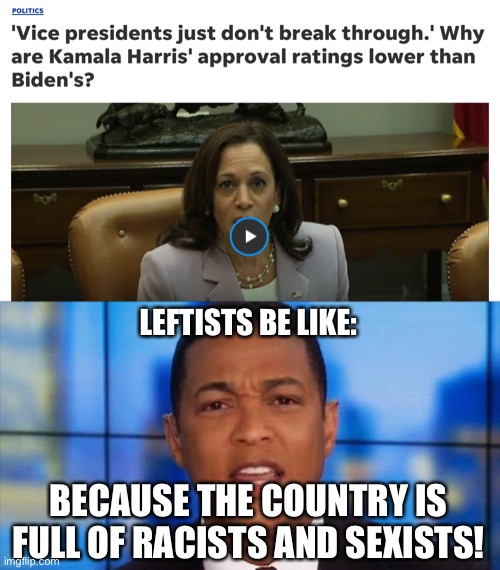 the left doesn’t seem to understand people can have different opinions from them without the opinions being backed by racism or  | LEFTISTS BE LIKE:; BECAUSE THE COUNTRY IS FULL OF RACISTS AND SEXISTS! | image tagged in don lemon angry,kamala harris,joe biden,racism,sexism,leftists | made w/ Imgflip meme maker