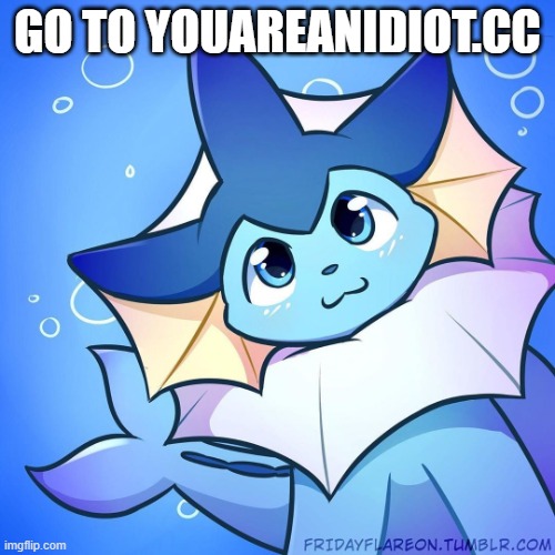 activate adobe flash too | GO TO YOUAREANIDIOT.CC | image tagged in vaporeon | made w/ Imgflip meme maker