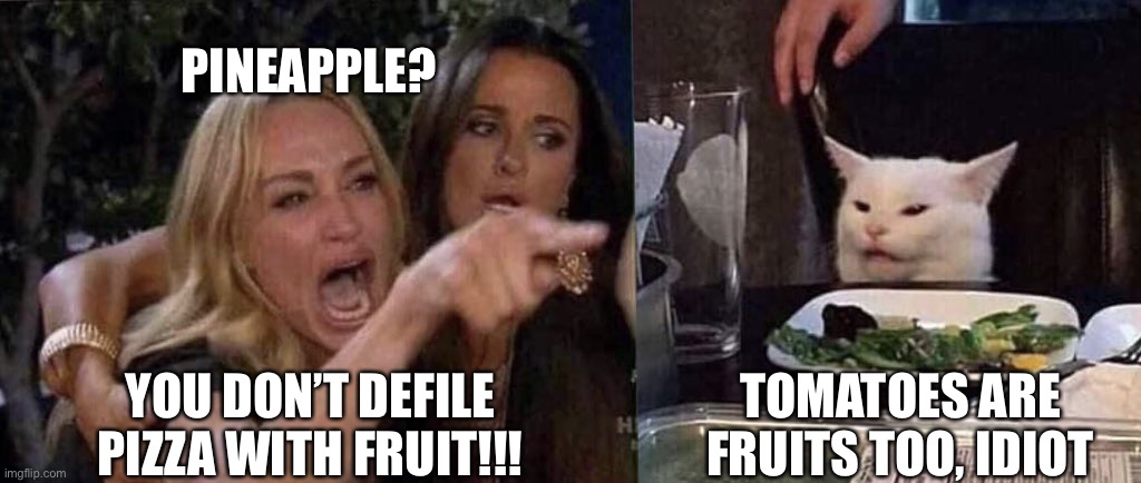 he’s got a point | PINEAPPLE? YOU DON’T DEFILE PIZZA WITH FRUIT!!! TOMATOES ARE FRUITS TOO, IDIOT | image tagged in woman yelling at cat,funny,pizza,pineapple pizza,fruit | made w/ Imgflip meme maker