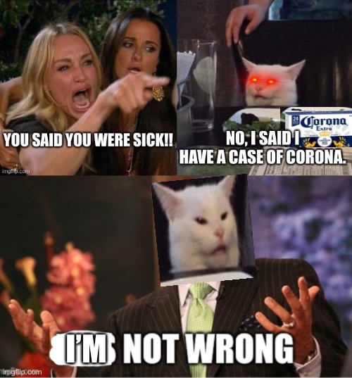 he’s not wrong | I’M | image tagged in well he's not 'wrong',funny,woman yelling at cat,cats,coronavirus | made w/ Imgflip meme maker