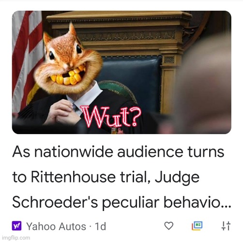 Here Comes Da Judge | image tagged in rittenhouse,judge squirrel,schroeder,trial | made w/ Imgflip meme maker
