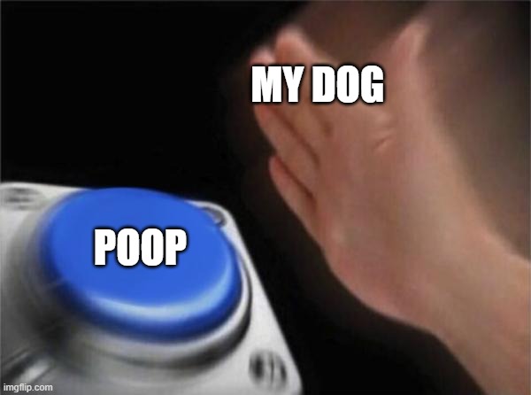 my dog meme | MY DOG; POOP | image tagged in memes,blank nut button | made w/ Imgflip meme maker