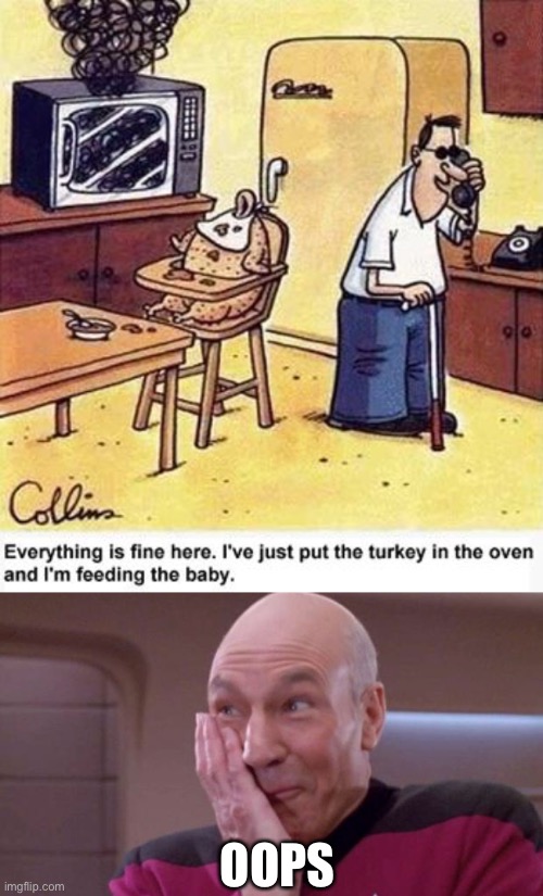 oh no | OOPS | image tagged in picard oops,dark humor,oven,thanksgiving,oh no,steve harvey mistake | made w/ Imgflip meme maker