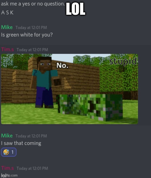 never ask me a yes or no question. | LOL | image tagged in minecraft,no | made w/ Imgflip meme maker