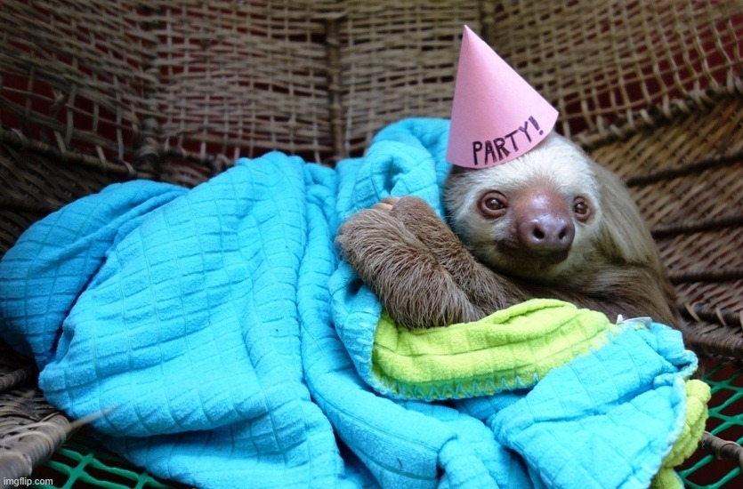 Sloth party | image tagged in sloth party | made w/ Imgflip meme maker