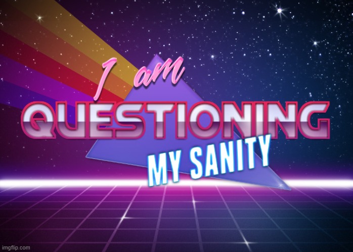 I am questioning my sanity | image tagged in i am questioning my sanity | made w/ Imgflip meme maker