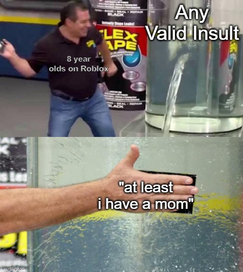 Please put up a valid argument. | Any Valid Insult; 8 year olds on Roblox; "at least i have a mom" | image tagged in flex tape | made w/ Imgflip meme maker