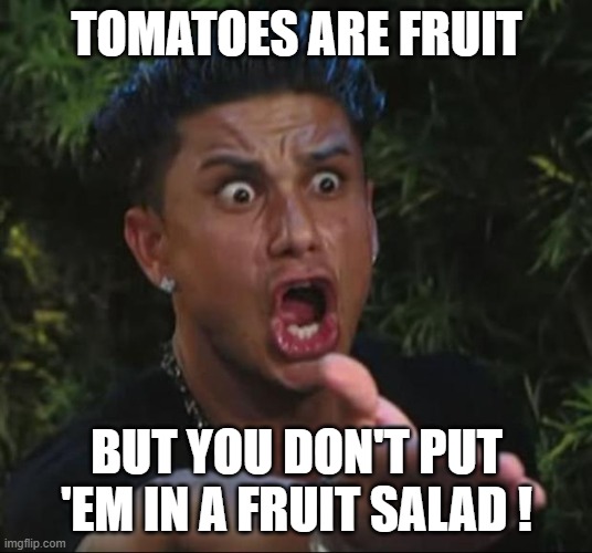 DJ Pauly D Meme | TOMATOES ARE FRUIT BUT YOU DON'T PUT 'EM IN A FRUIT SALAD ! | image tagged in memes,dj pauly d | made w/ Imgflip meme maker