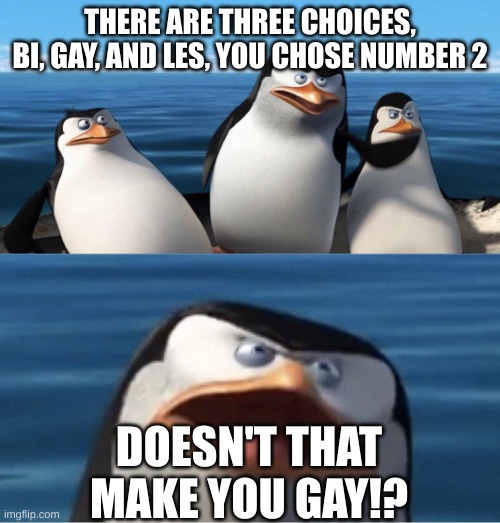 Wouldn't that make you | THERE ARE THREE CHOICES, BI, GAY, AND LES, YOU CHOSE NUMBER 2; DOESN'T THAT MAKE YOU GAY!? | image tagged in wouldn't that make you | made w/ Imgflip meme maker