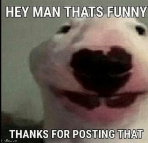MAN | made w/ Imgflip meme maker