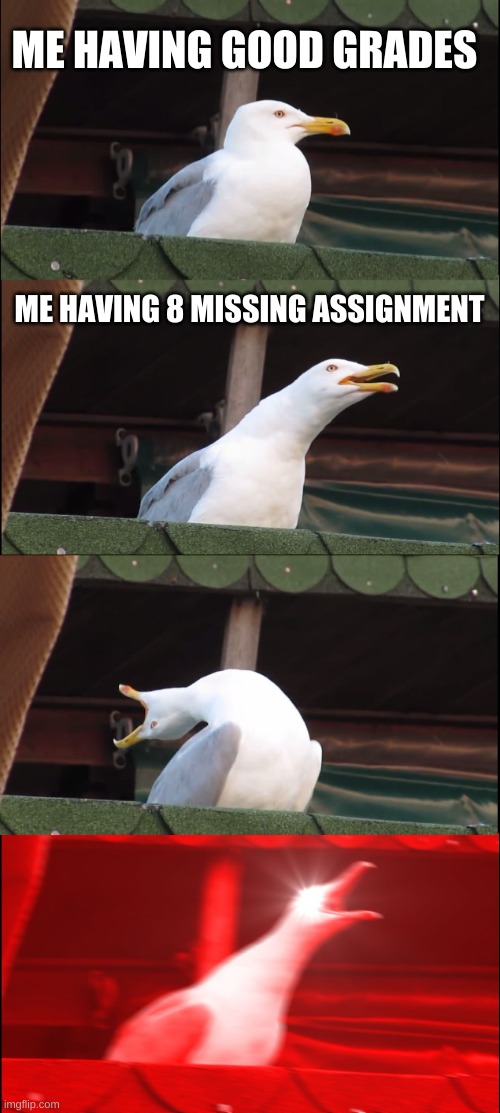 Ahaaaaa | ME HAVING GOOD GRADES; ME HAVING 8 MISSING ASSIGNMENT | image tagged in memes,inhaling seagull | made w/ Imgflip meme maker