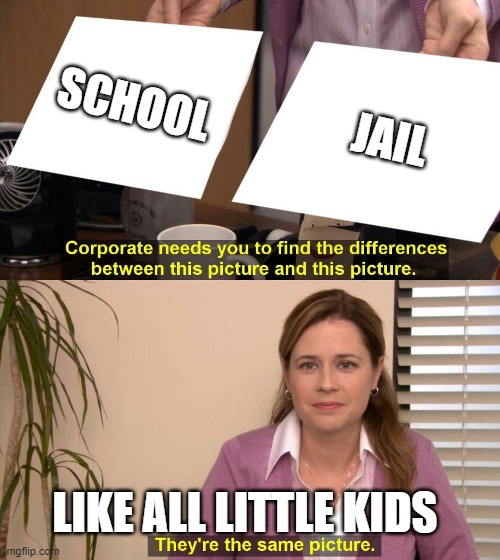 lol | SCHOOL; JAIL; LIKE ALL LITTLE KIDS | image tagged in they are the same picture | made w/ Imgflip meme maker