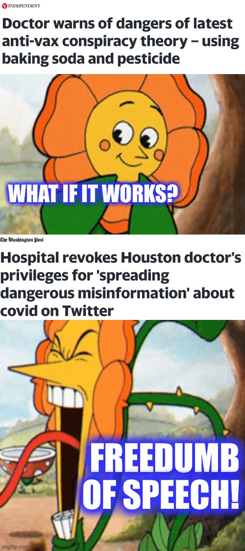 Qonspiracy | WHAT IF IT WORKS? FREEDUMB OF SPEECH! | image tagged in antivax,misinformation,sunflower,trolls,conservative hypocrisy,stupid people | made w/ Imgflip meme maker