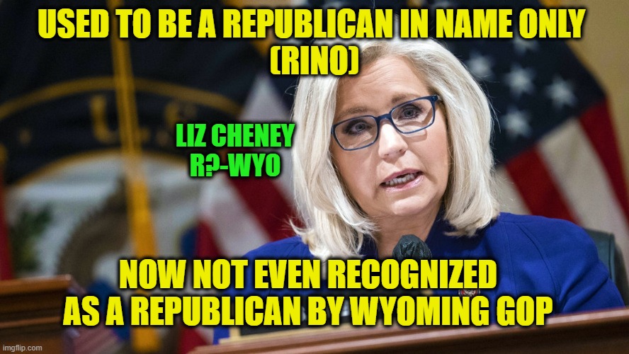 Can't Get No Respect | USED TO BE A REPUBLICAN IN NAME ONLY 
(RINO); LIZ CHENEY
R?-WYO; NOW NOT EVEN RECOGNIZED AS A REPUBLICAN BY WYOMING GOP | image tagged in liz cheney,wyoming gop | made w/ Imgflip meme maker