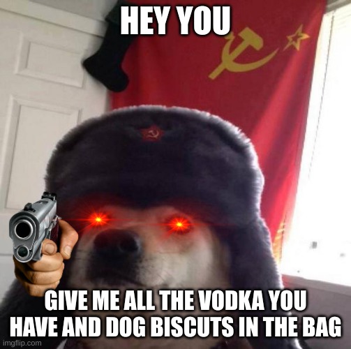 doggo | HEY YOU; GIVE ME ALL THE VODKA YOU HAVE AND DOG BISCUTS IN THE BAG | image tagged in russian doge | made w/ Imgflip meme maker