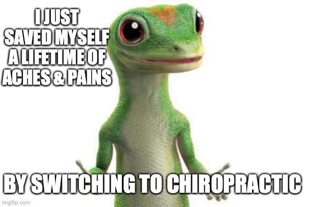 Chiropractic | I JUST SAVED MYSELF A LIFETIME OF ACHES & PAINS; BY SWITCHING TO CHIROPRACTIC | image tagged in the gecko is always right | made w/ Imgflip meme maker