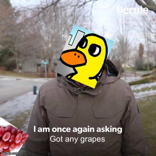 Got any grapes | Got any grapes | image tagged in memes,bernie i am once again asking for your support | made w/ Imgflip meme maker