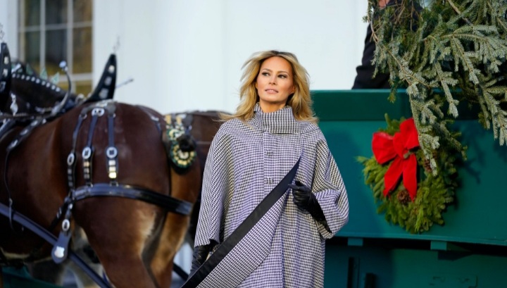 Melania clydesdale Blank Meme Template